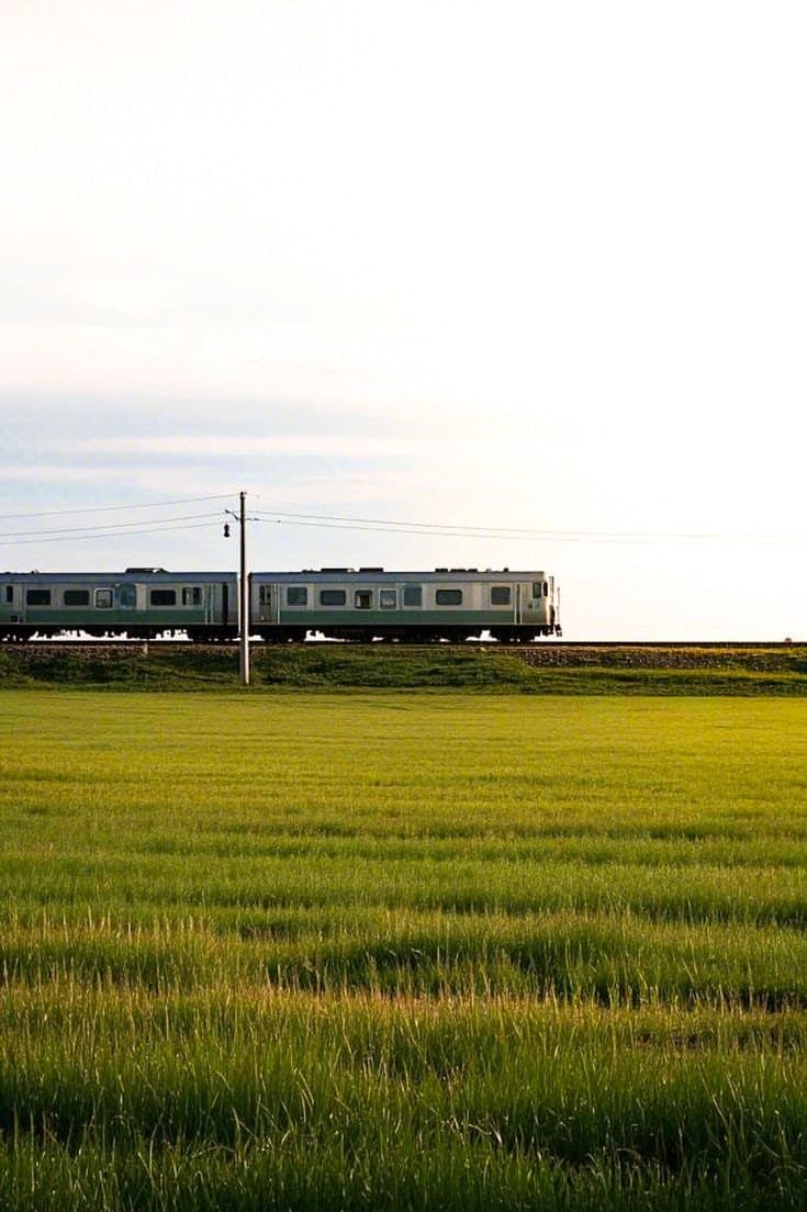 A commuter train crossing a wide green field under a pale sky.